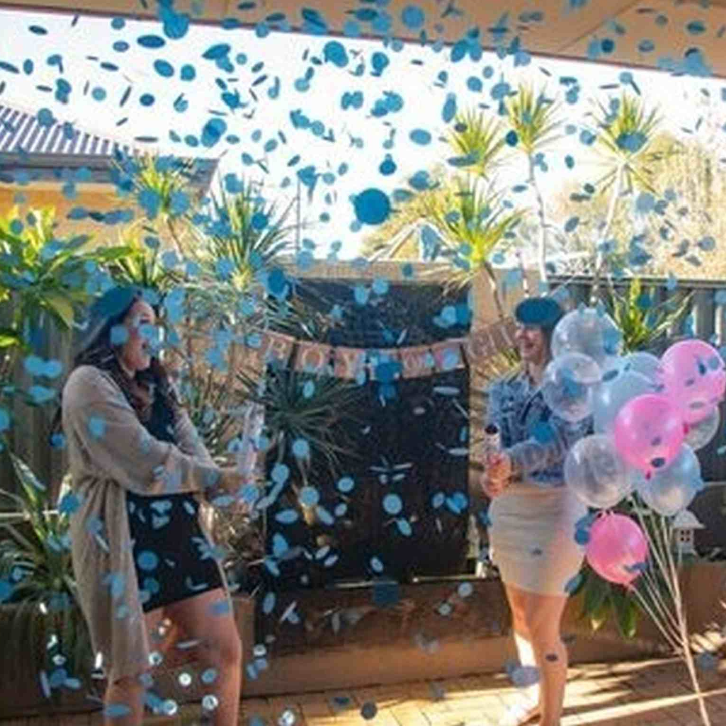 Boy or Girl Party Banner - Perth Gender Reveals
