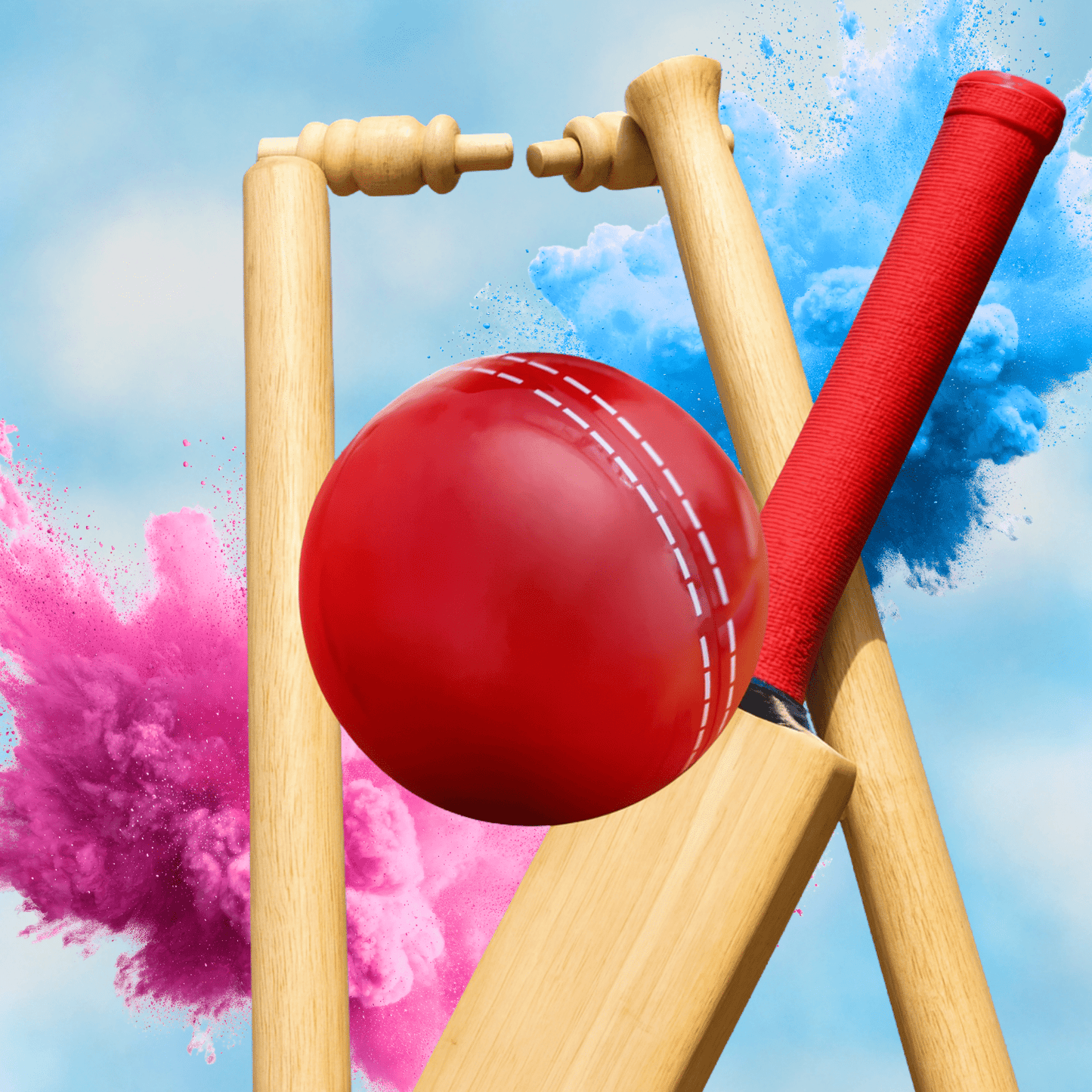 Gender Reveal Cricket Ball