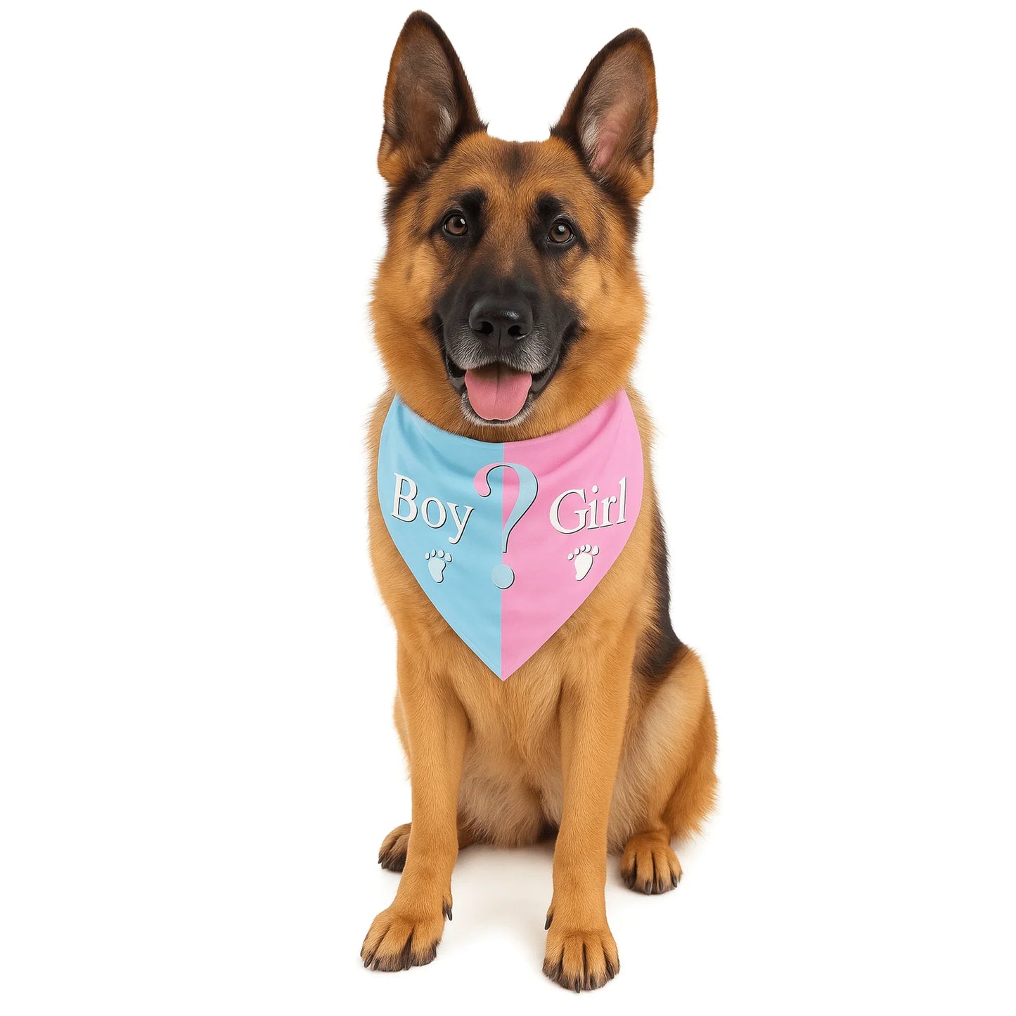 Gender Reveal Party Pet Bandana