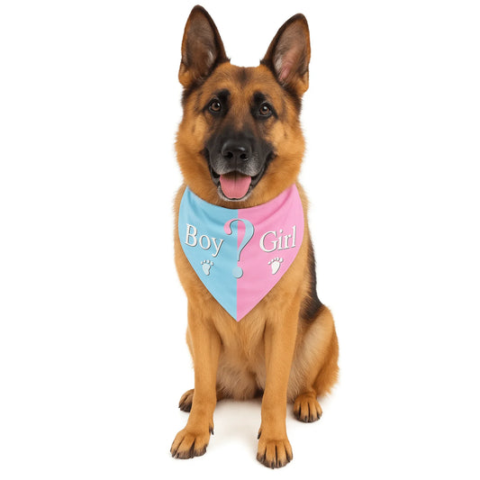 Gender Reveal Party Pet Bandana - Perth Gender Reveals