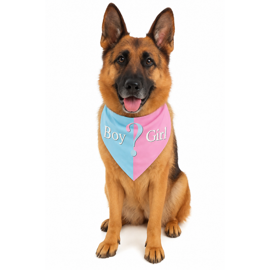 Gender Reveal Party Pet Bandana - Perth Gender Reveals