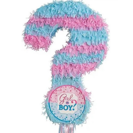 Gender Reveal Pull String Pinata