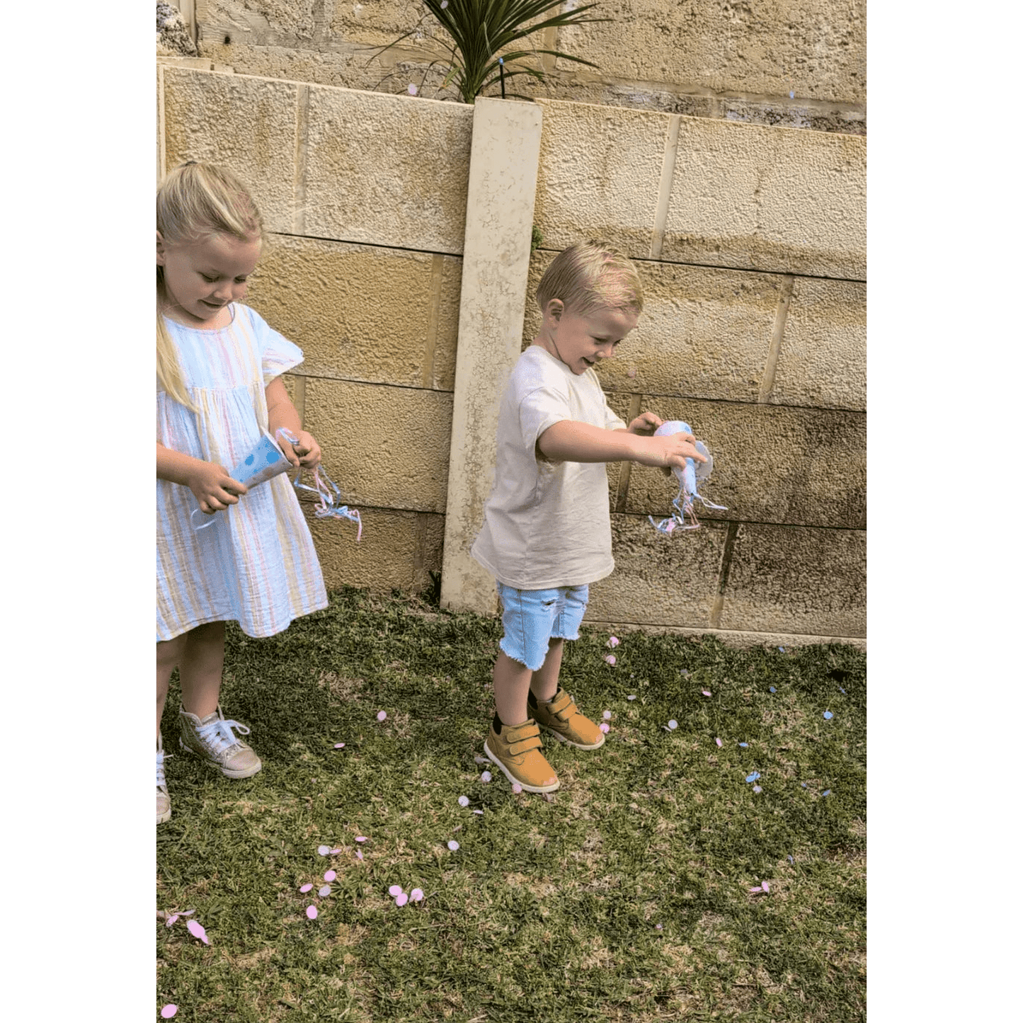 Gender Reveal Handheld Confetti Cones