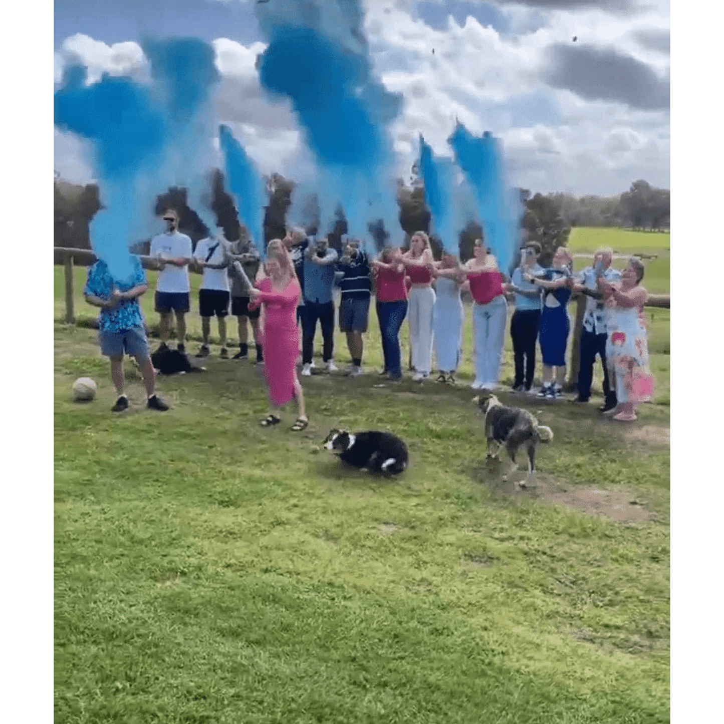 Gender Reveal 'MEGA Blaster' & Cannon Bundle