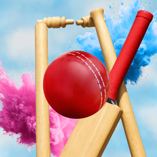 Gender Reveal Cricket Ball