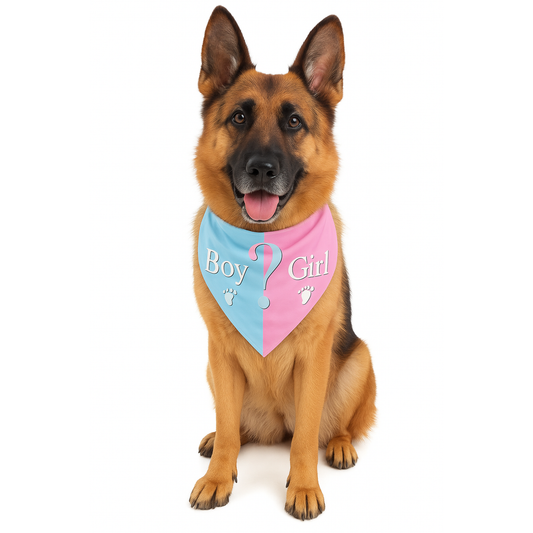 Gender Reveal Party Pet Bandana