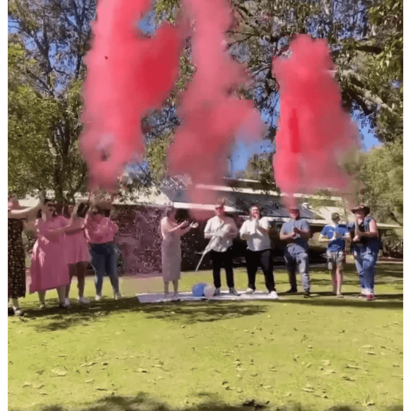 Gender Reveal 'MEGA Blaster' & Cannon Bundle